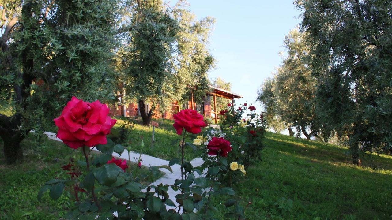 Agroturizem Bylis Hotel Hekal Exterior foto