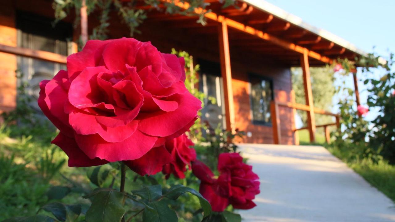 Agroturizem Bylis Hotel Hekal Exterior foto